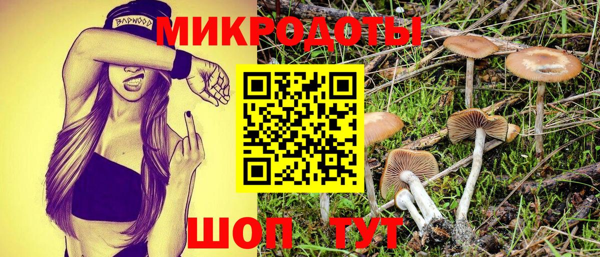 Галлюциногенные грибы мицелий Ковров